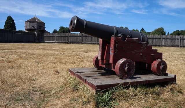 Cannon in field